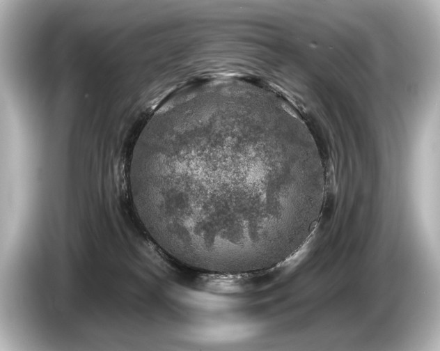 X0000085730182200703161013