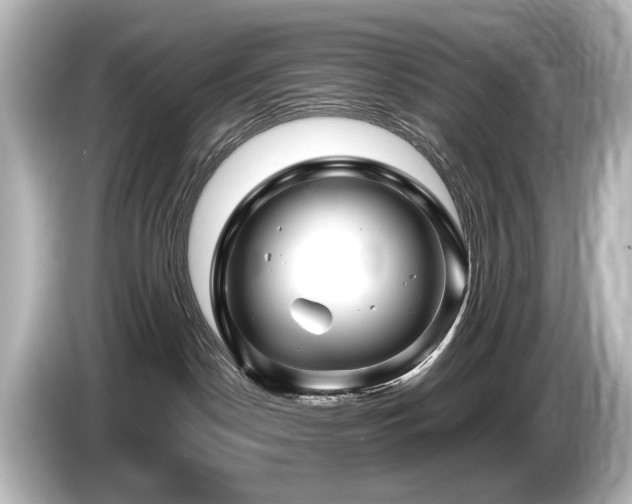 X0000085730190200703161014