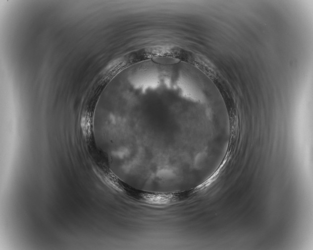 X0000085730191200703161014