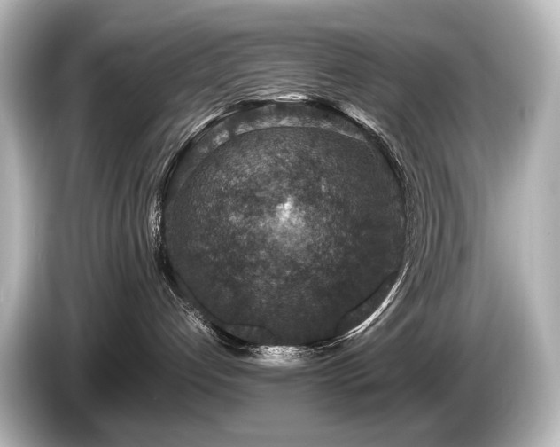 X0000085730192200703161014