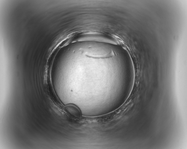 X0000085730194200703161013