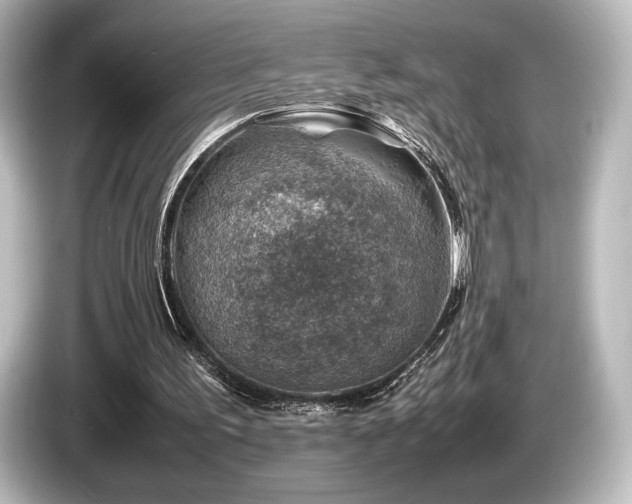 X0000085730195200703161013