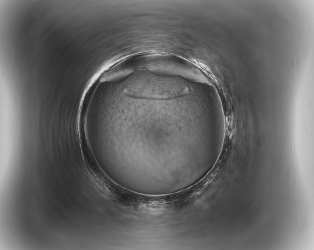 X0000085730196200703161013