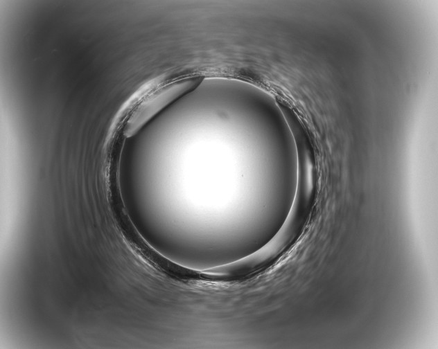 X0000085730197200703161013