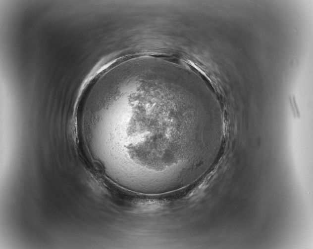 X0000085730198200703161013