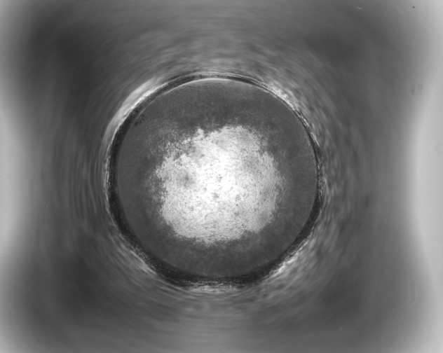 X0000085730199200703161013