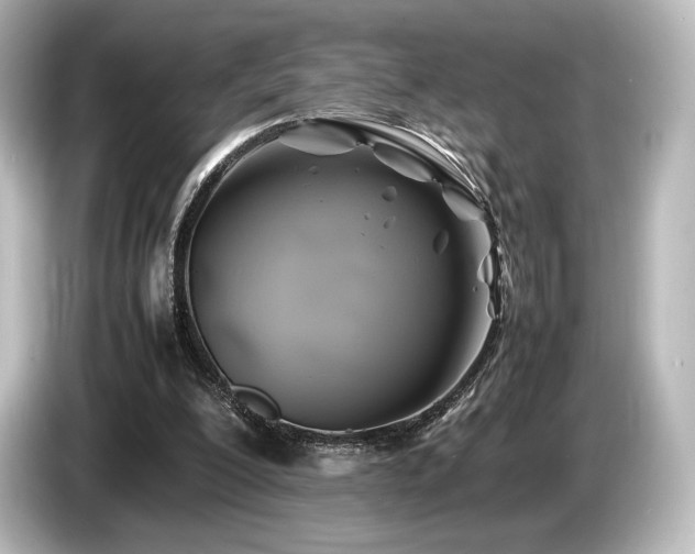 X0000085730200200703161013