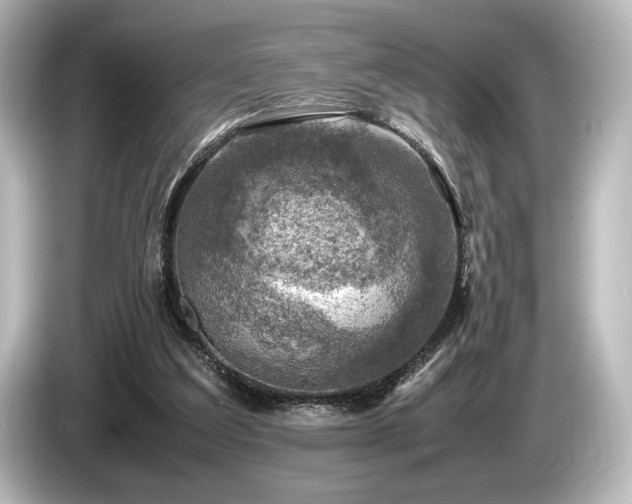 X0000085730203200703161013