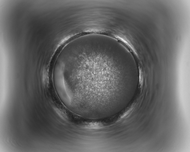 X0000085730204200703161013