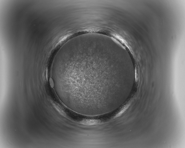 X0000085730205200703161013