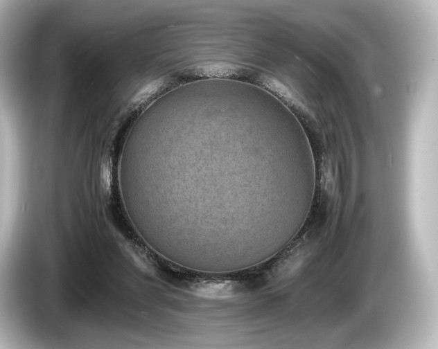 X0000085730206200703161013