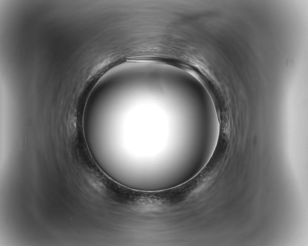 X0000085730207200703161013