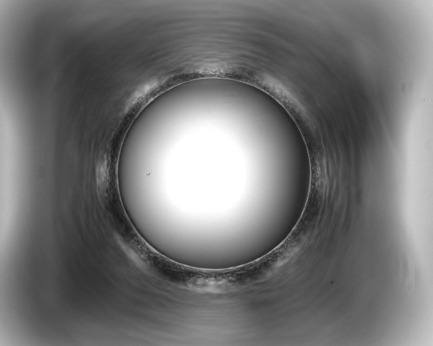 X0000085730208200703161013