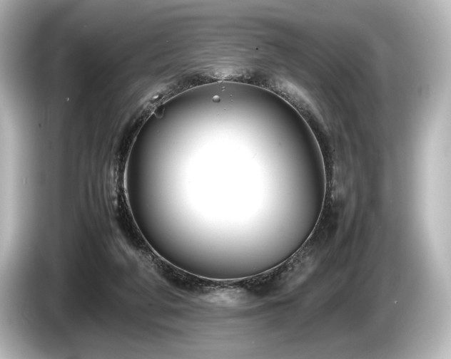 X0000085730210200703161013