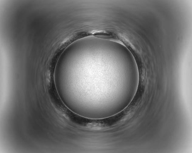 X0000085730211200703161013