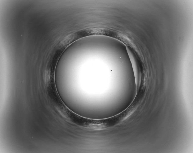 X0000085730213200703161013