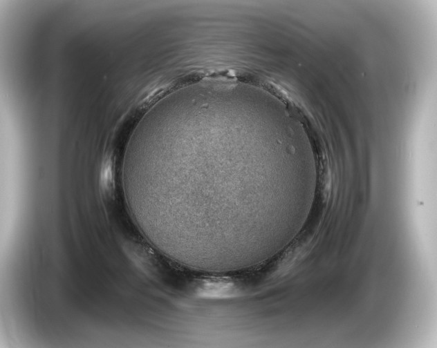 X0000085730214200703161013