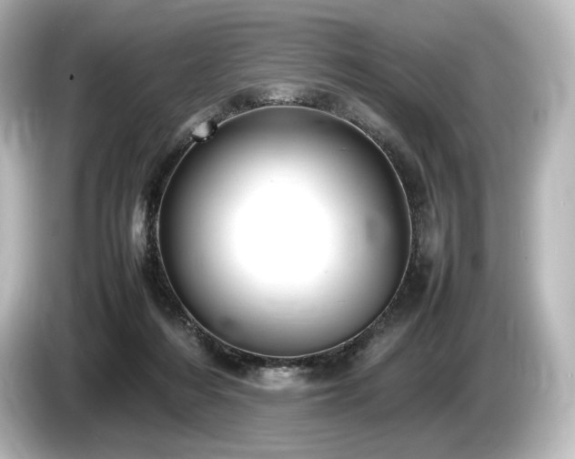 X0000085730216200703161013