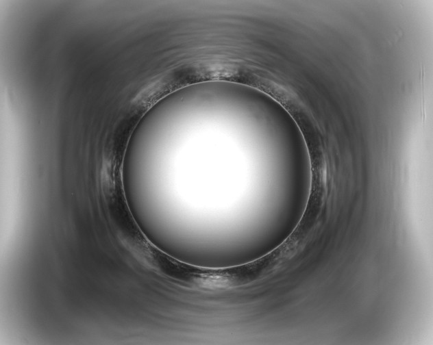 X0000085730218200703161013