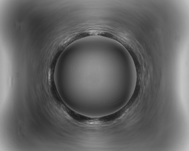 X0000085730219200703161013