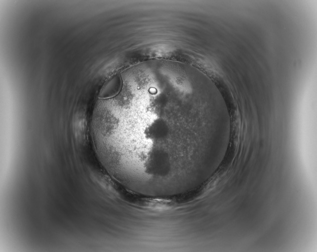 X0000085730222200703161013