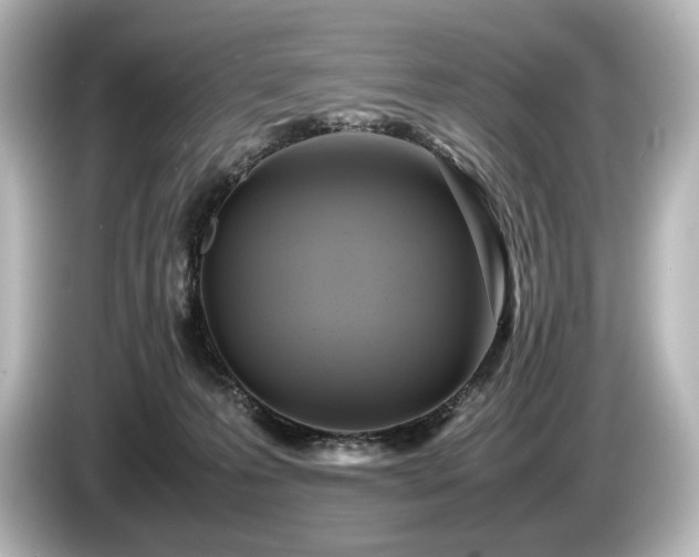 X0000085730223200703161013