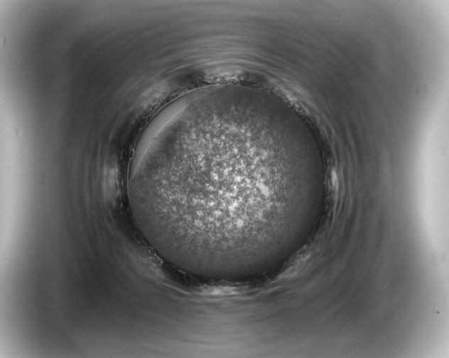 X0000085730224200703161013