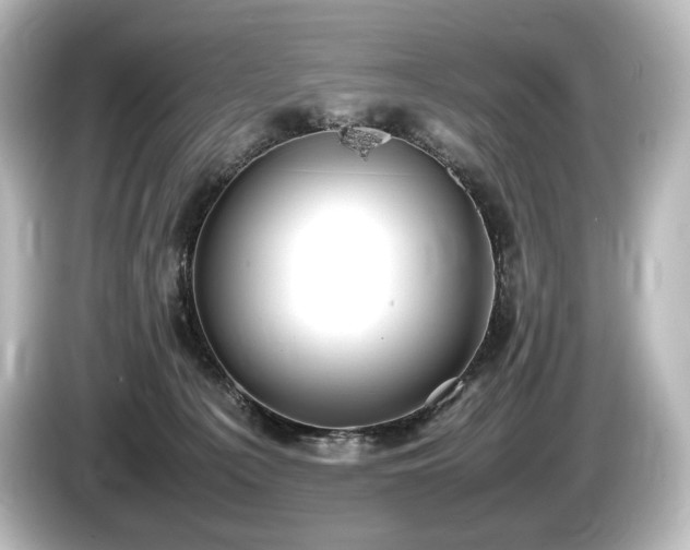 X0000085730225200703161013