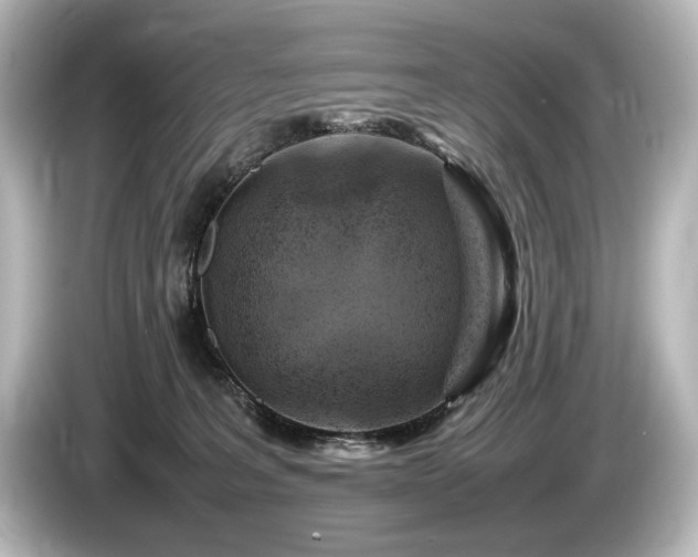 X0000085730227200703161012