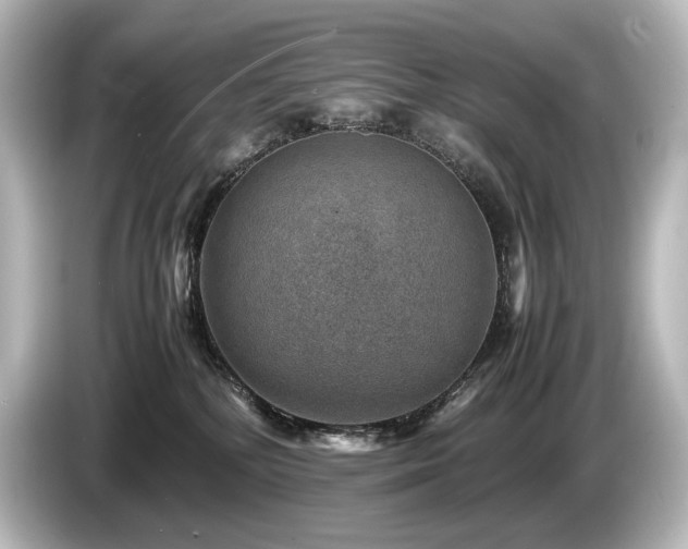 X0000085730232200703161012