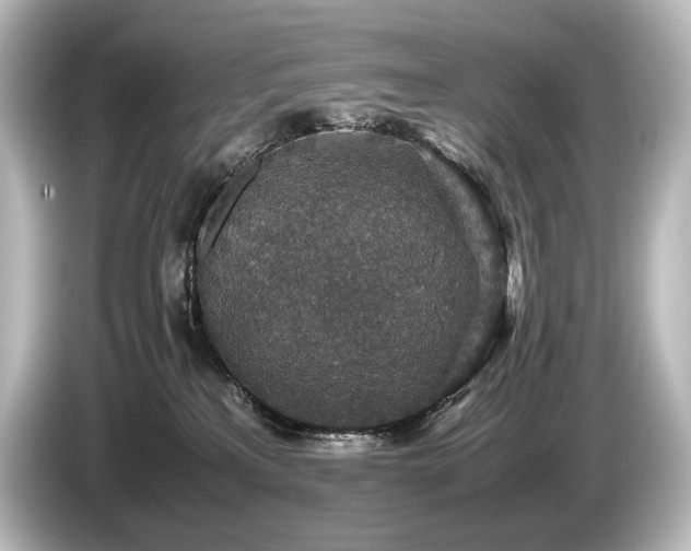 X0000085730233200703161012