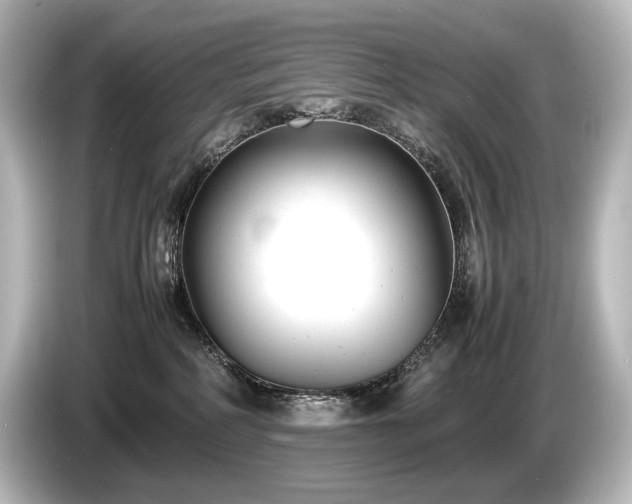 X0000085730234200703161012