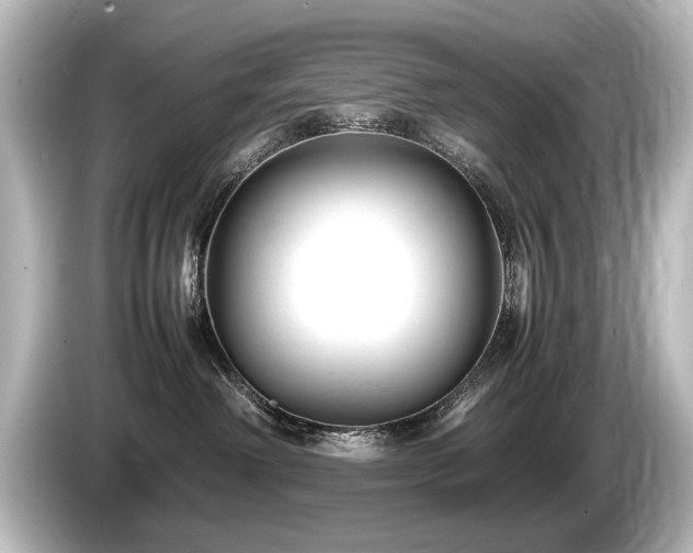 X0000085730238200703161012