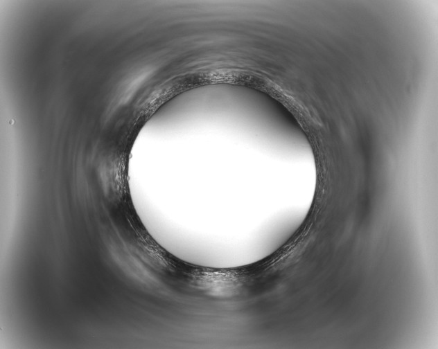 X0000085730240200703161012