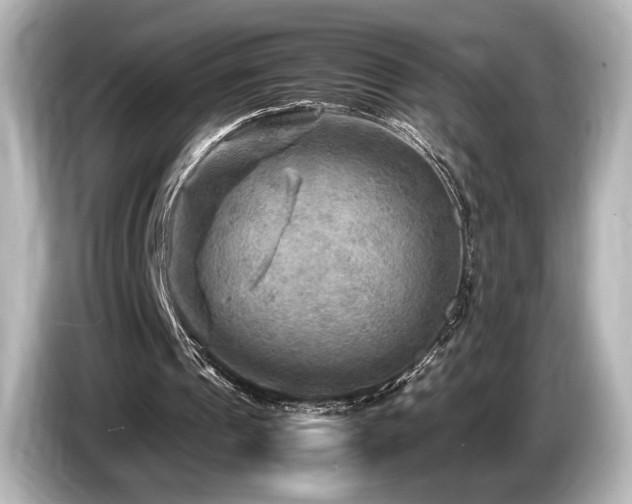 X0000085730241200703161012