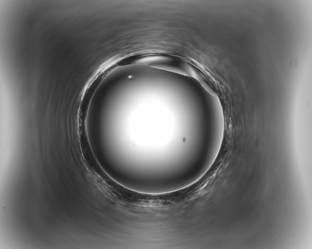 X0000085730244200703161012