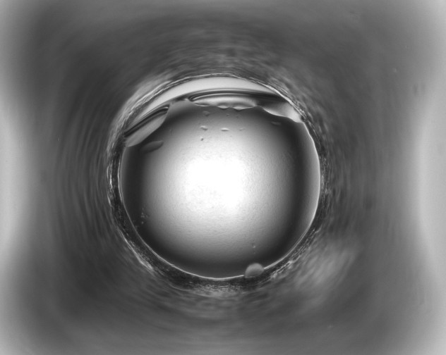 X0000085730245200703161012