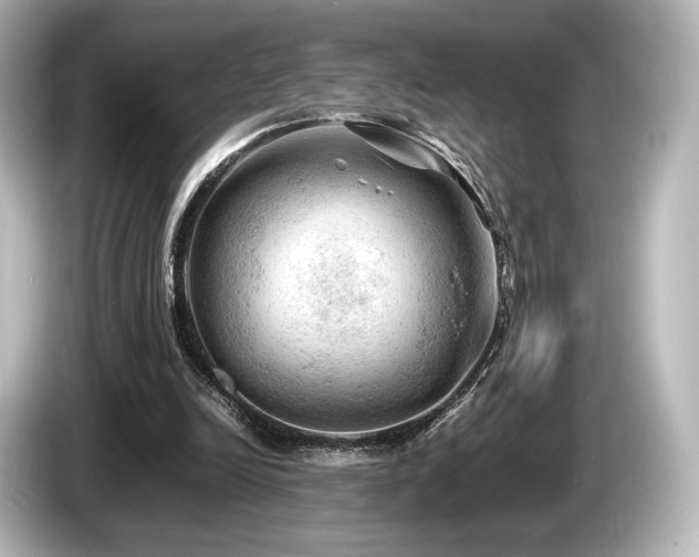 X0000085730246200703161012