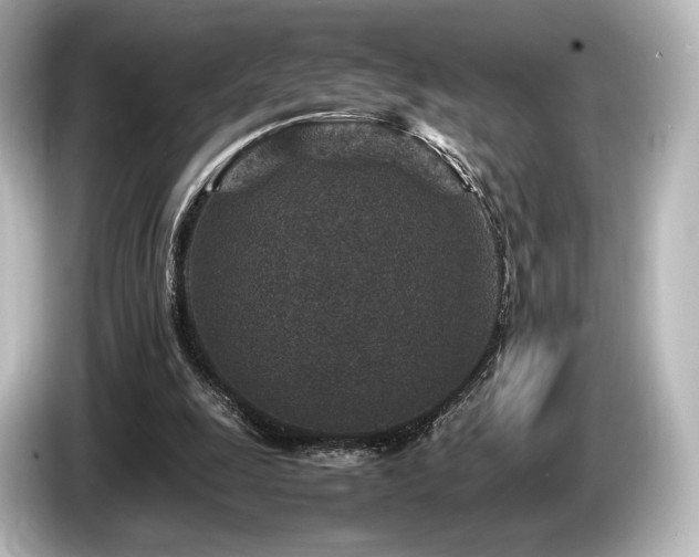 X0000085730247200703161012