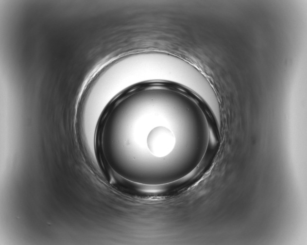 X0000085730248200703161012