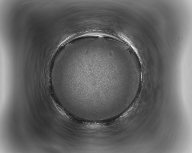 X0000085730249200703161012