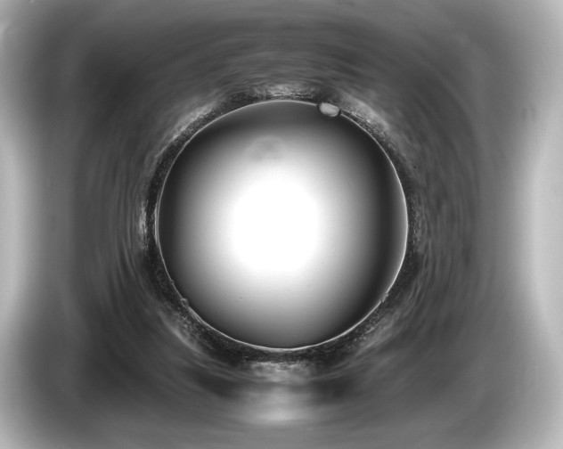 X0000085730251200703161012