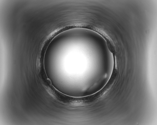 X0000085730252200703161012