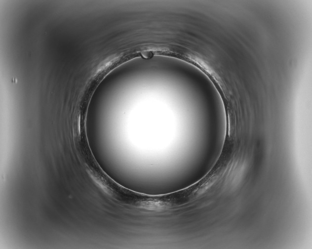 X0000085730253200703161012