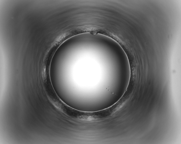 X0000085730254200703161012