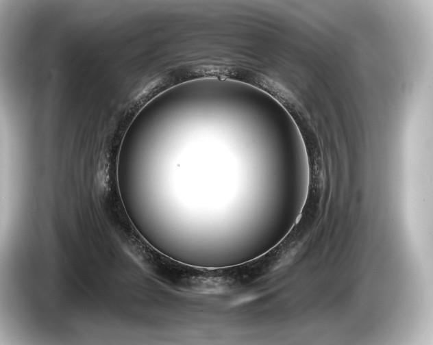 X0000085730255200703161012