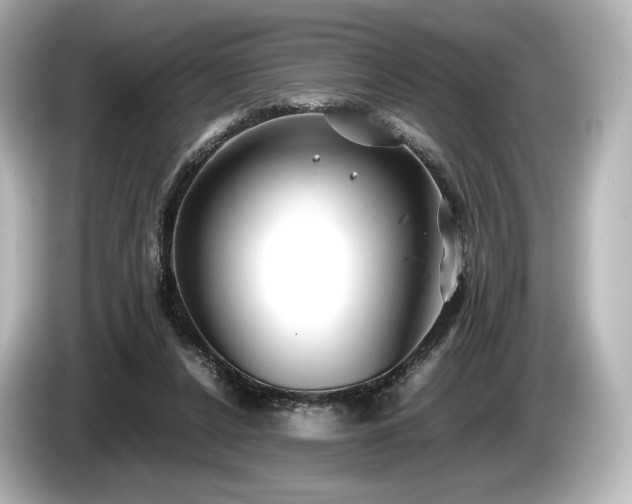 X0000085730256200703161012