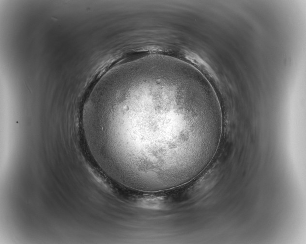 X0000085730257200703161012