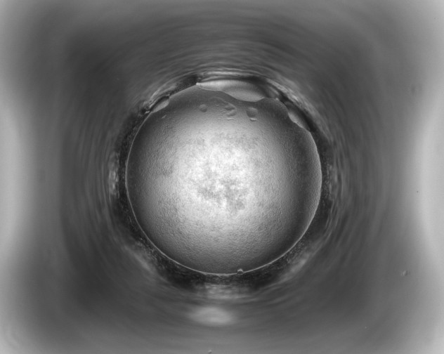 X0000085730259200703161012