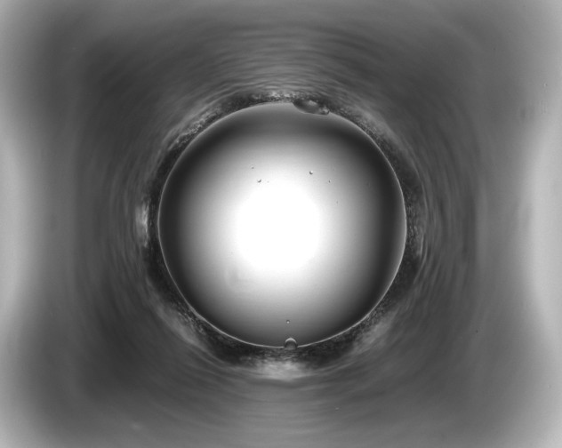 X0000085730262200703161012